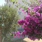Sercan 3* Kızılot