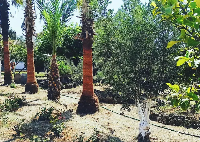 Sercan מלון דירות 3*